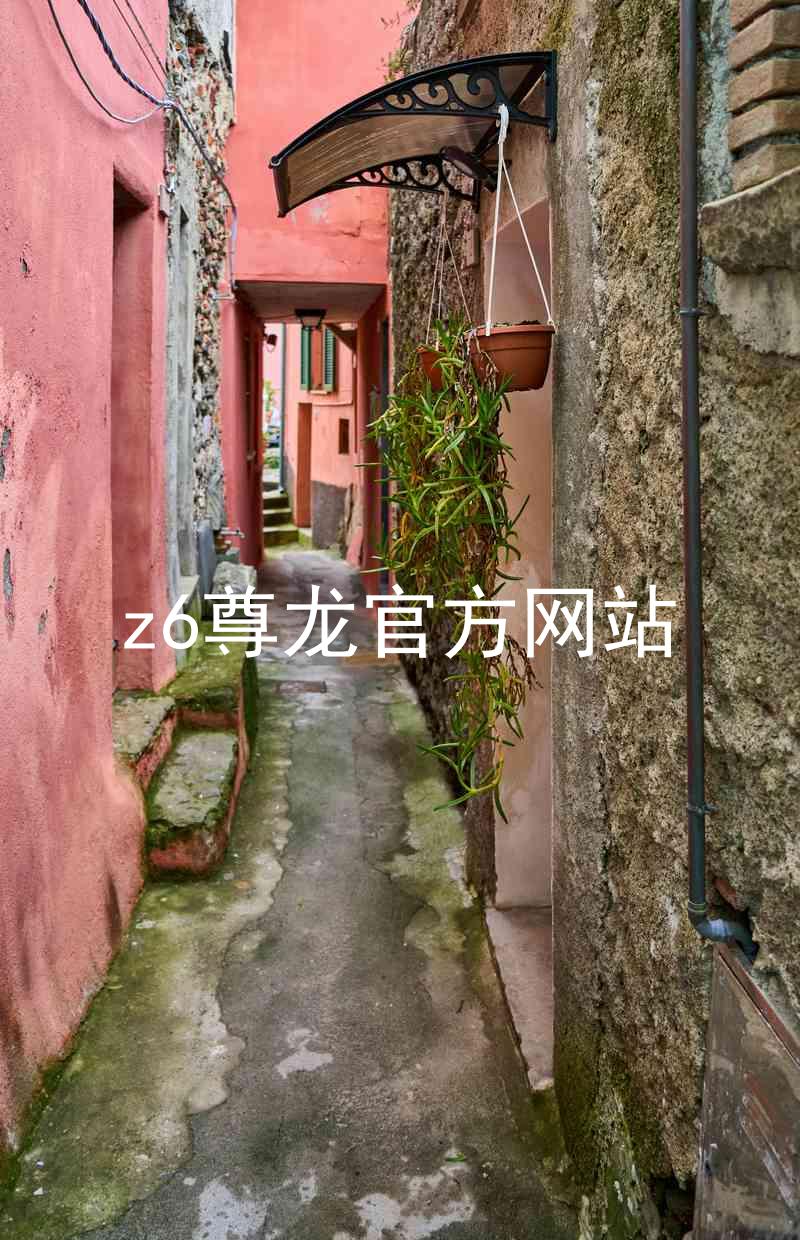 z6尊龙官方网站